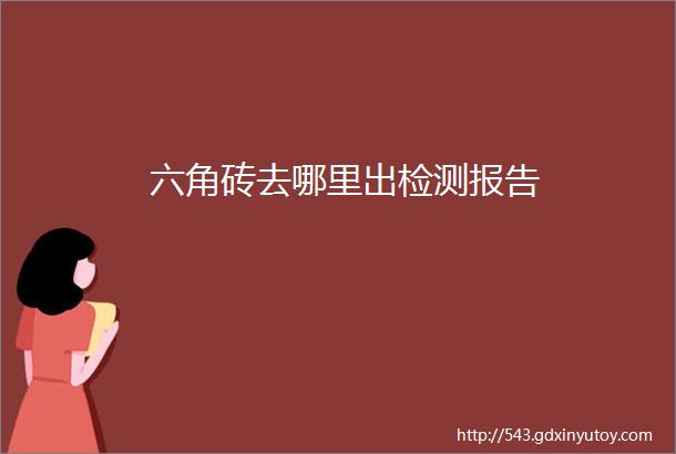 六角砖去哪里出检测报告