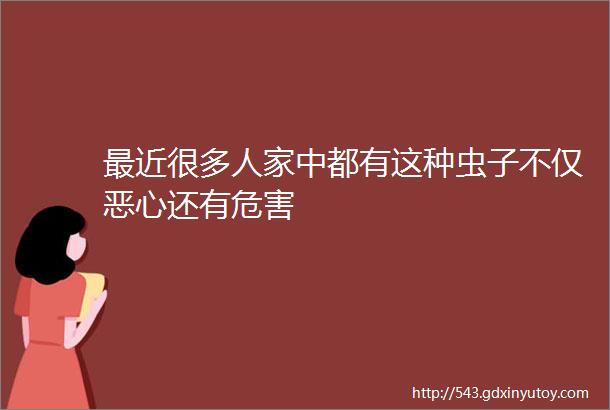 最近很多人家中都有这种虫子不仅恶心还有危害