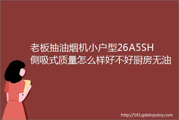 老板抽油烟机小户型26A5SH侧吸式质量怎么样好不好厨房无油烟