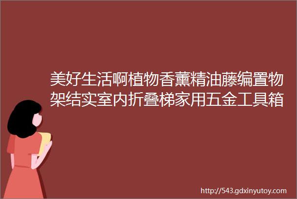 美好生活啊植物香薰精油藤编置物架结实室内折叠梯家用五金工具箱helliphellip