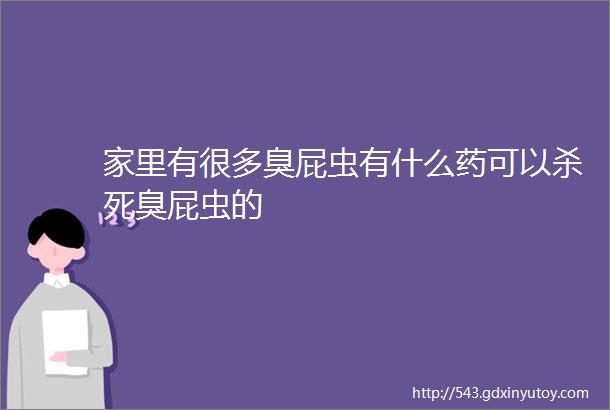 家里有很多臭屁虫有什么药可以杀死臭屁虫的