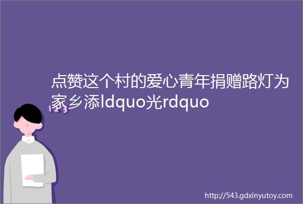 点赞这个村的爱心青年捐赠路灯为家乡添ldquo光rdquo