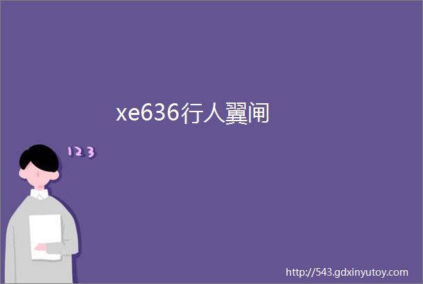 xe636行人翼闸