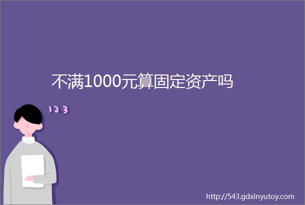 不满1000元算固定资产吗