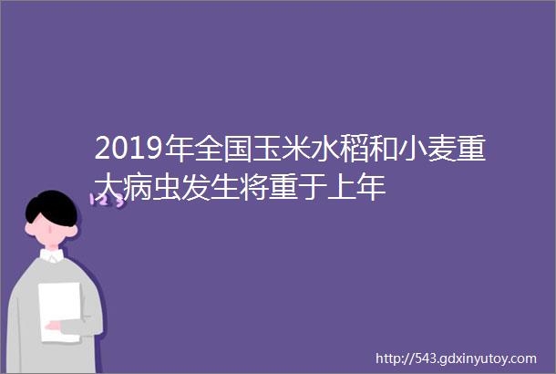 2019年全国玉米水稻和小麦重大病虫发生将重于上年