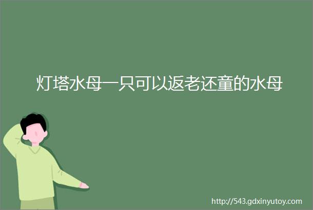 灯塔水母一只可以返老还童的水母