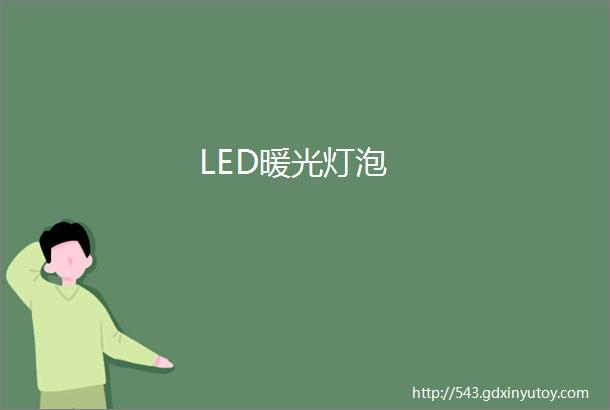 LED暖光灯泡