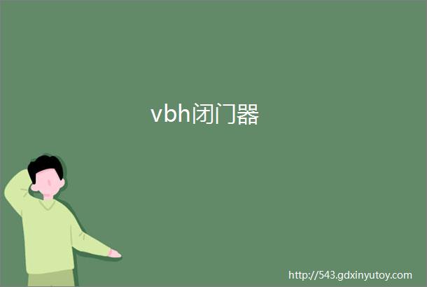 vbh闭门器