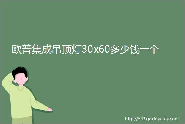 欧普集成吊顶灯30x60多少钱一个