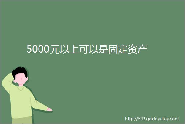 5000元以上可以是固定资产