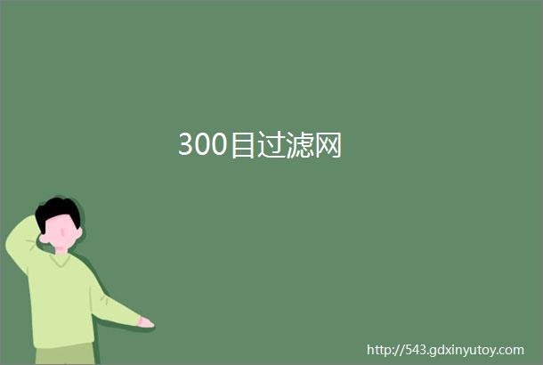 300目过滤网