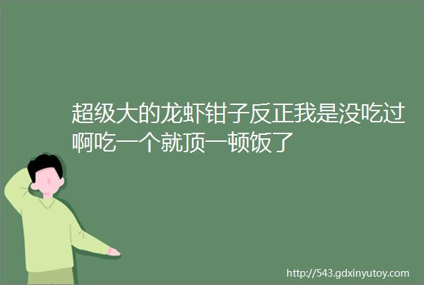 超级大的龙虾钳子反正我是没吃过啊吃一个就顶一顿饭了