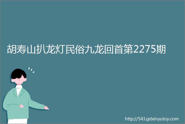 胡寿山扒龙灯民俗九龙回首第2275期