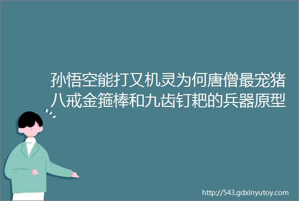 孙悟空能打又机灵为何唐僧最宠猪八戒金箍棒和九齿钉耙的兵器原型给出原因